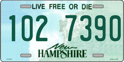 NH license plate 1027390