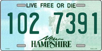NH license plate 1027391