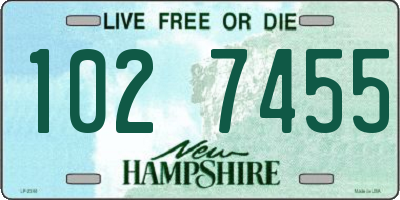 NH license plate 1027455