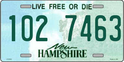 NH license plate 1027463