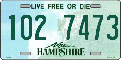 NH license plate 1027473