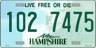 NH license plate 1027475