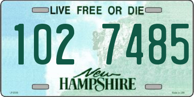 NH license plate 1027485