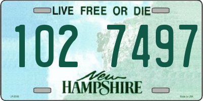 NH license plate 1027497