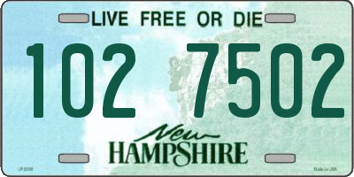 NH license plate 1027502