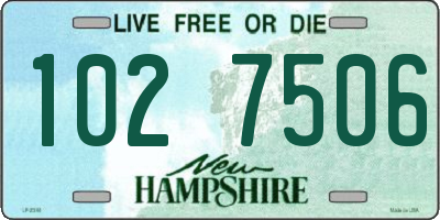 NH license plate 1027506
