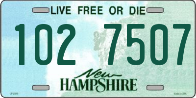 NH license plate 1027507