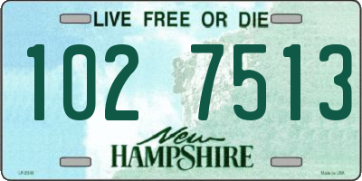 NH license plate 1027513