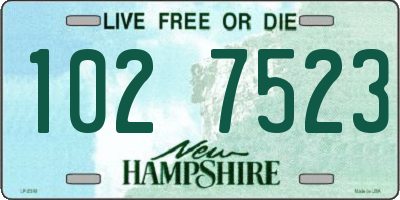 NH license plate 1027523