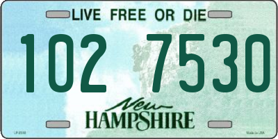 NH license plate 1027530