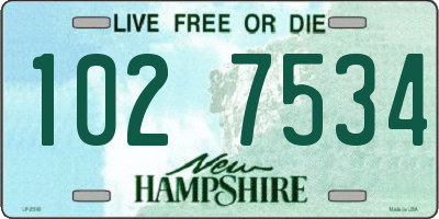NH license plate 1027534