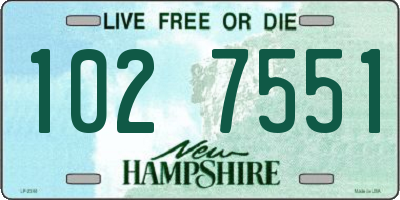 NH license plate 1027551
