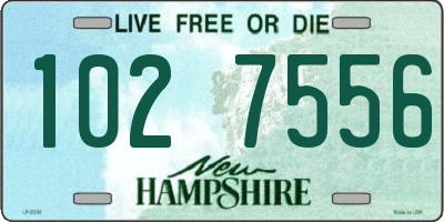 NH license plate 1027556