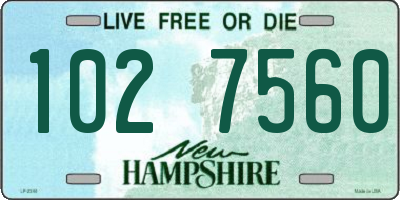 NH license plate 1027560