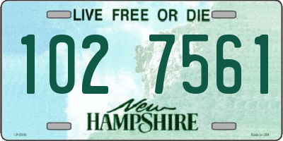 NH license plate 1027561
