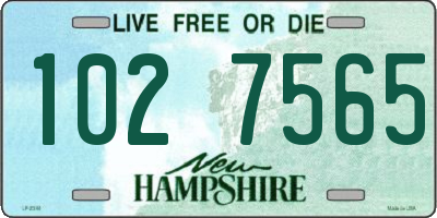 NH license plate 1027565