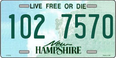 NH license plate 1027570