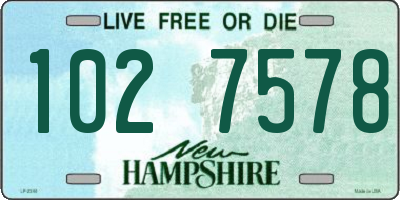 NH license plate 1027578