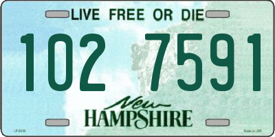NH license plate 1027591
