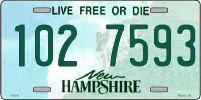 NH license plate 1027593