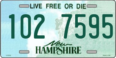 NH license plate 1027595