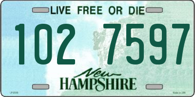 NH license plate 1027597