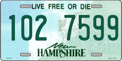 NH license plate 1027599
