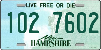 NH license plate 1027602