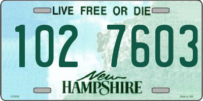 NH license plate 1027603