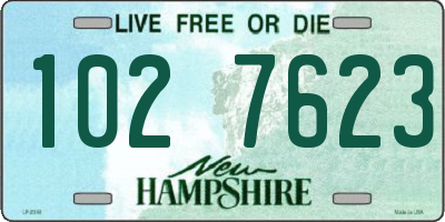 NH license plate 1027623