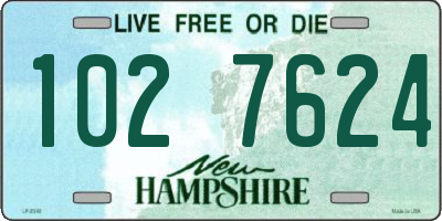NH license plate 1027624
