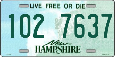 NH license plate 1027637