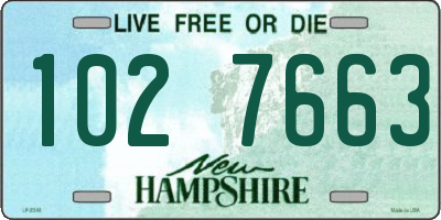 NH license plate 1027663