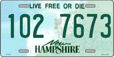 NH license plate 1027673