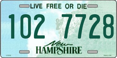 NH license plate 1027728