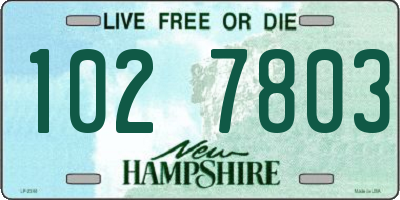 NH license plate 1027803