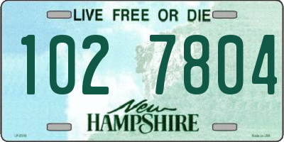 NH license plate 1027804