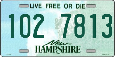 NH license plate 1027813