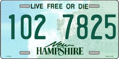 NH license plate 1027825