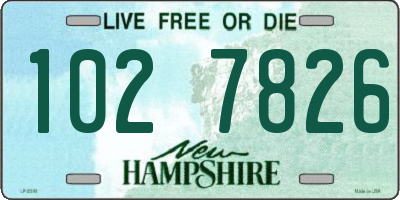 NH license plate 1027826