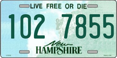 NH license plate 1027855
