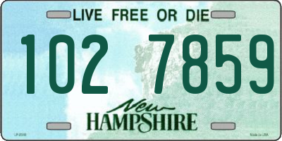 NH license plate 1027859