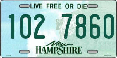 NH license plate 1027860