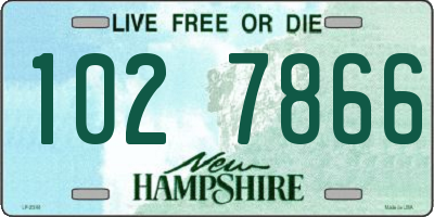 NH license plate 1027866