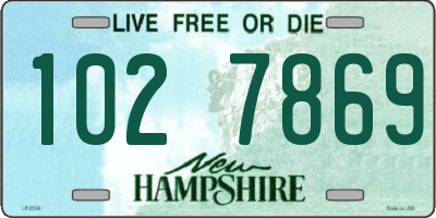NH license plate 1027869