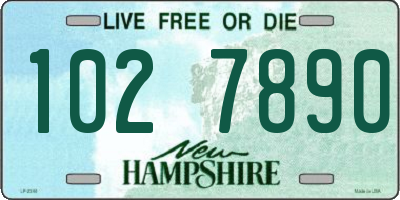 NH license plate 1027890