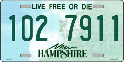NH license plate 1027911
