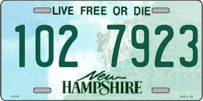 NH license plate 1027923