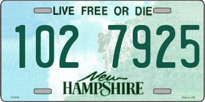 NH license plate 1027925