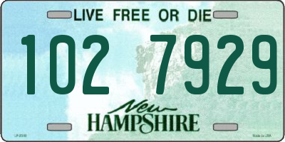 NH license plate 1027929